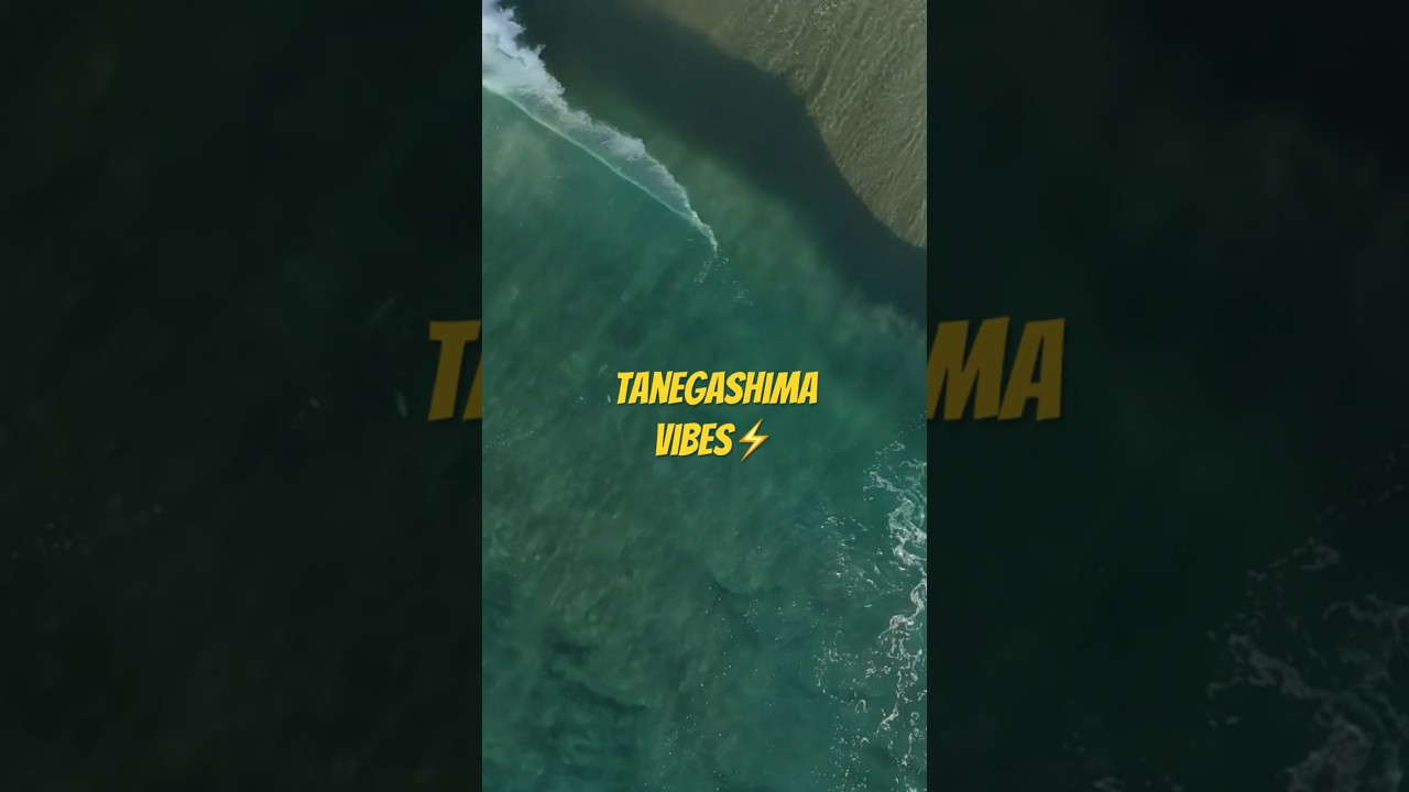 種子島の波_tanegashima wave #サーフィン #サーフィン初心者 #beach