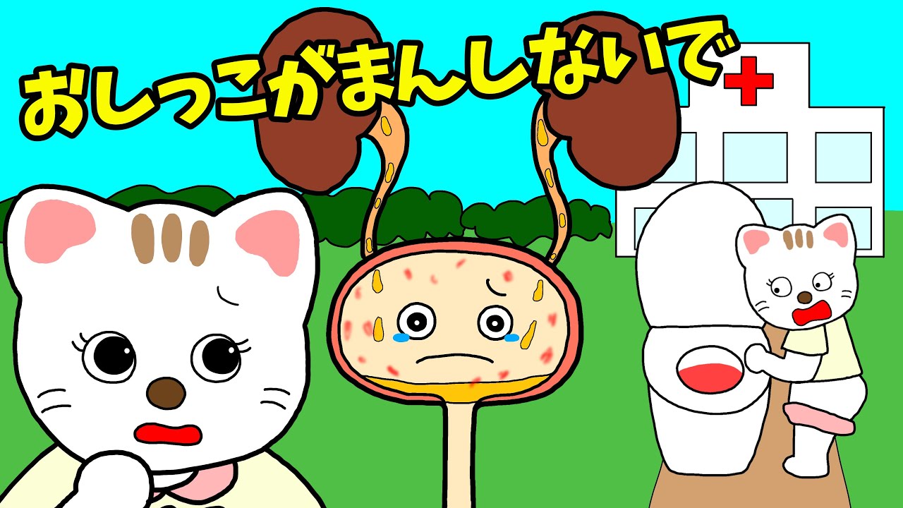 【アニメ 絵本読み聞かせ】おしっこ我慢しないで〜子供に教える膀胱炎〜