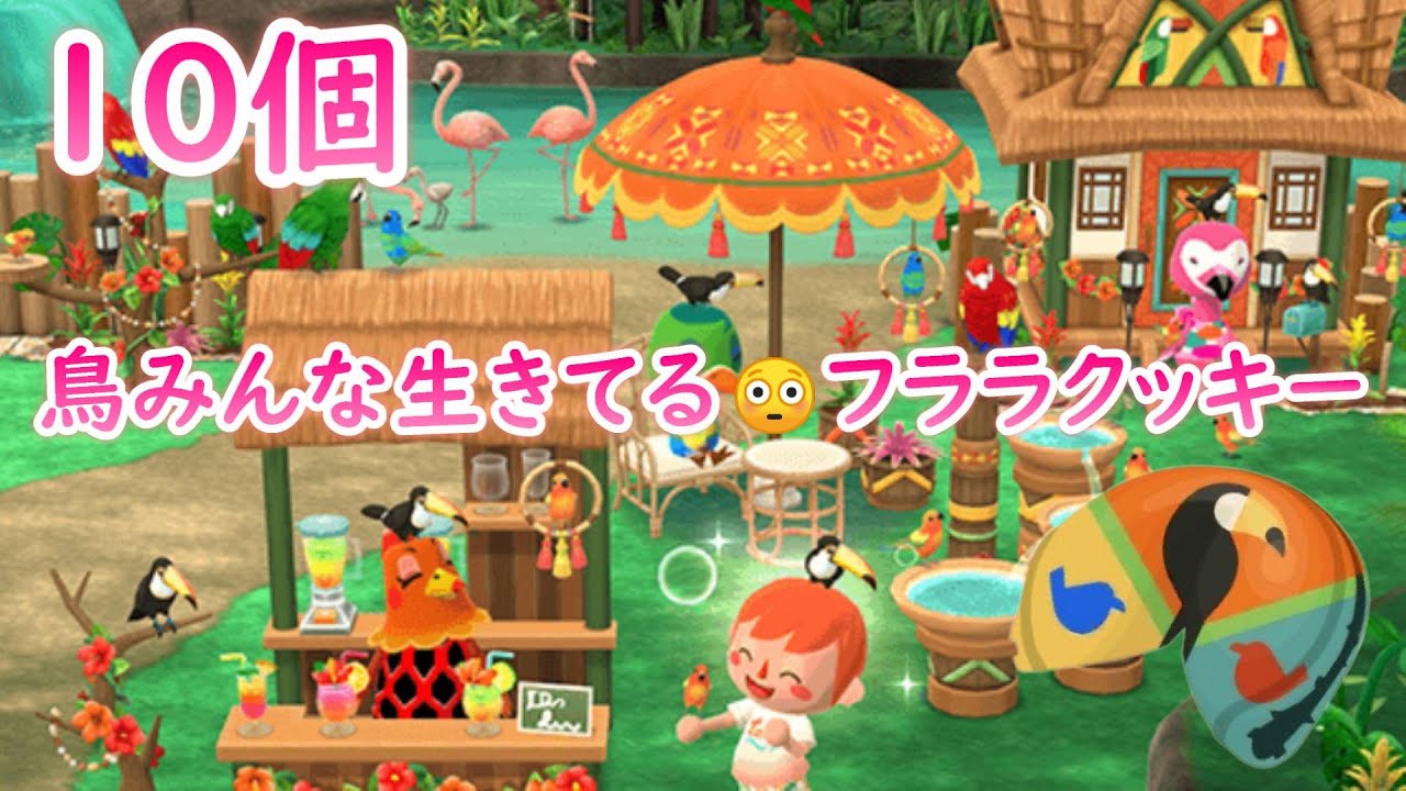 【ポケ森】フララの南国バードリゾートクッキー10個!! 配信日にW5000ベルクッキー!! ミラティブアーカイブ切り抜き