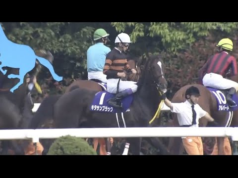 2015年天皇賞・春(GI)キタサンブラック