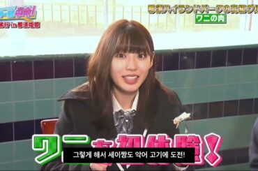 시라이시 세이, 악어 고기에 도전!