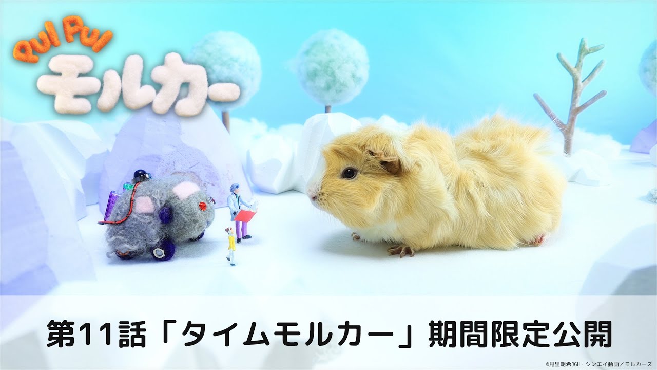 【公式】PUI PUI モルカー 第11話「タイムモルカー」 ※9/29までの期間限定公開