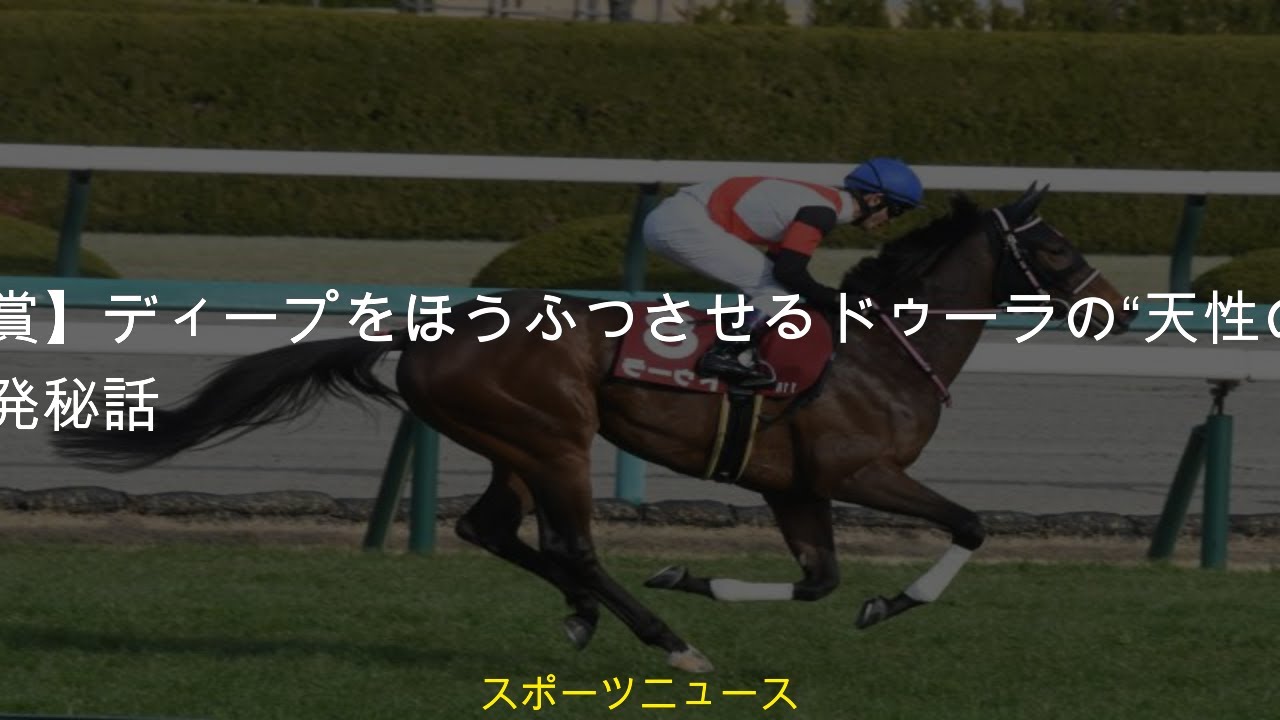 #コメント #中央競馬 #桜花賞ディープをほうふつさせるドゥーラの #トレセン発秘話 #レース結果 #ニュース #天性の才【桜花賞】ディープをほうふつさせるドゥーラの“天性の才”/トレセン発秘話