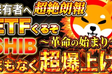 シバイヌコイン【保有者へ超絶朗報】革命の始まり!超爆上げ始まるぞ!SHIB ETF承認で大爆発【仮想通貨】【シバリウム】