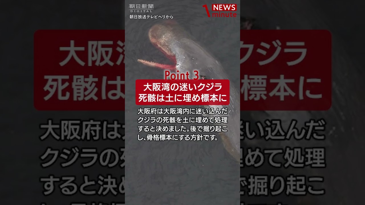 【2024年2月20日のNEWS 1 minute】 #shorts