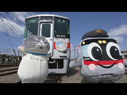 マルといっしょにお花見へ! 山陽電車「デブ猫電車」の運行開始 3区間で1日5往復、4月中旬まで
