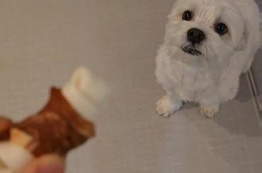 240228 Weverse: ジョンウォン