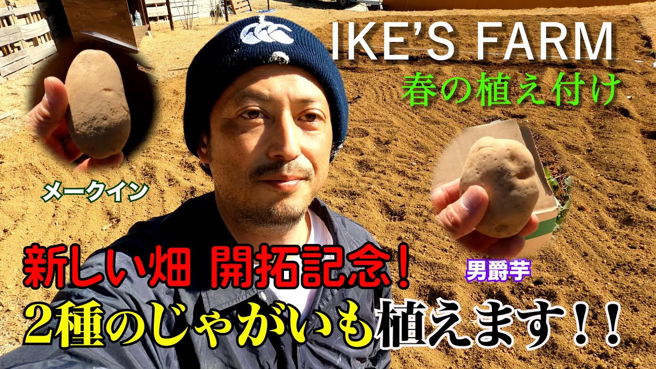 【春の植え付け】新しい畑 開拓記念!2種のじゃがいも植えます #メークイン #男爵芋