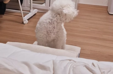 240218 Weverse: ソンフン