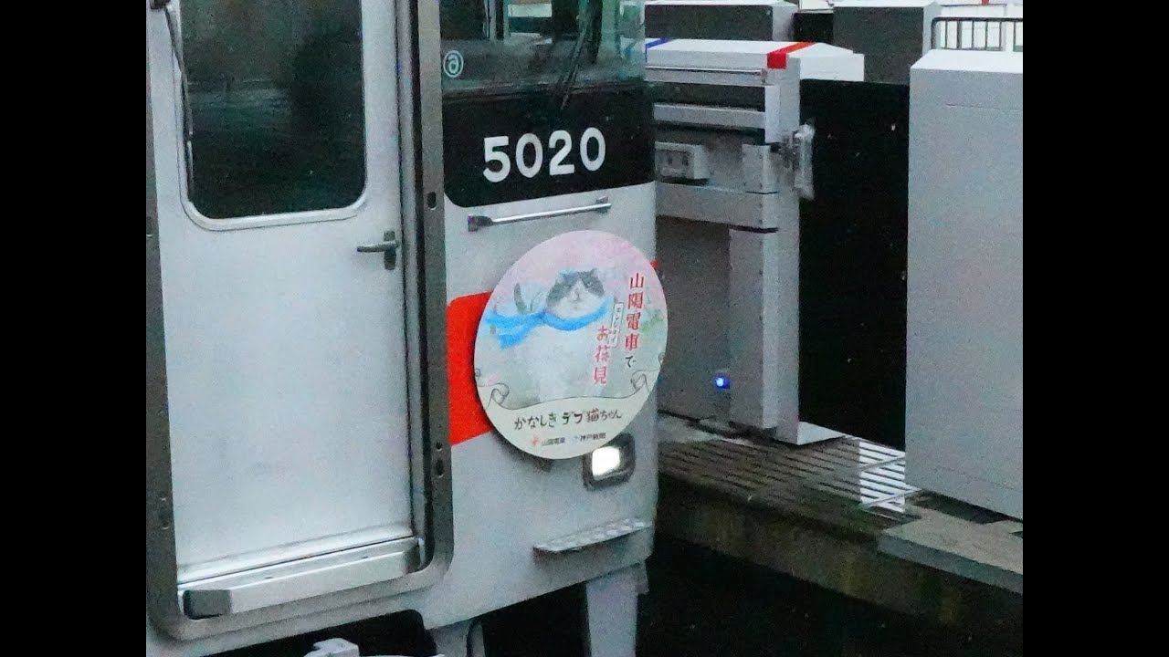 【山電】かなしきデブ猫ちゃんヘッドマーク掲出