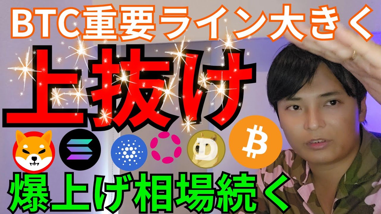 【ビットコイン爆上げ】仮想通貨 アルトコイン も爆上げ続く?