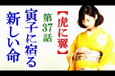 【虎に翼】朝ドラ第37話 寅子と優三の間に新しい命が宿り…連続テレビ小説第36話感想