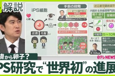 【iPS研究“世界初”の進展】「髪の毛」から子どもが？  「不妊症」「生命」のナゾ解明に期待…未来の心配は