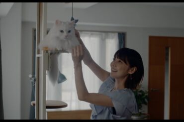 安達祐実×倉科カナ×渡邊圭祐 主演 映画『三日月とネコ』本編映像
