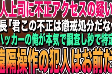 【感動する話】元天才ハッカーであることを隠して派遣社内SEの俺。ある日、好きになりかけていた美人上司に不正アクセスの疑いが！→俺が秒で真犯人を晒した結果wいい泣ける朗読