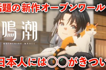 新作『鳴潮』にインタビュー＆プレイ感想 絶対に改善すべきポイントとは？【鳴潮  Wuthering Waves】