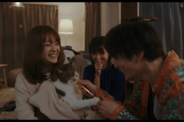 安達祐実×倉科カナ×渡邊圭祐『三日月とネコ』予告編