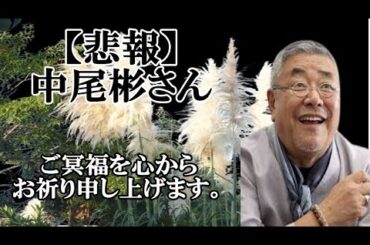 【悲報】中尾彬さんが死去、夫の最期を奥様が自宅で寄り添い看取った。#ご冥福を心からお祈り申し上げます