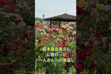 宮本真由美さんに教わった一人さんへの恩返し🩷