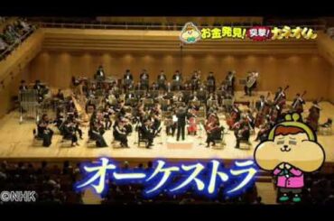 【見逃し配信】突撃カネオくん オーケストラ5月25日＜バイオリン/シンバル/譜めくり/チェロ/オーボエ/NHK/再放送/無料視聴/TVer＞2024年5月25日FULL LIVE