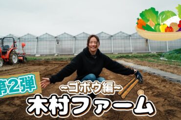 【農業】ゴボウの芽を出す【千葉県】