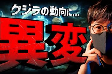 クジラが爆買い中！？ビットコイン、イーサの強さは続く。