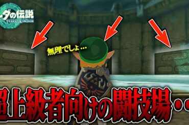 攻略が難しすぎる『超上級者向けの闘技場』に戦闘初心者が挑んでみたら....【ゼルダの伝説 ティアーズ オブ ザ キングダム / 検証 / バグ】