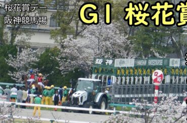 2024年 G1桜花賞を撮ってみた 20240407 桜花賞デー