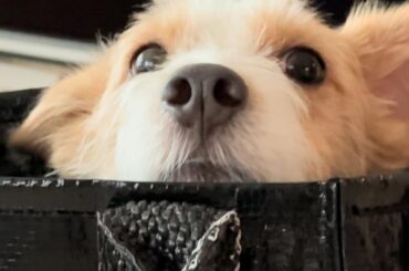 240505 hank_says_hank IG アップデート