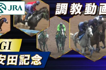 【調教動画】2024年 安田記念｜JRA公式