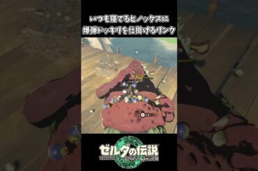 【ティアキン】ヒノックスに寝起き爆弾ドッキリを仕掛けるリンク【ゼルダの伝説 ティアーズ オブ ザ キングダム】