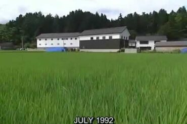 夏子の酒 5話 1994 Natsuko no Sake HD