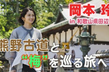 【岡本玲 梅の聖地を巡る旅】熊野古道の玄関口・和歌山県田辺市へ！歴史と世界遺産を堪能！