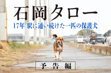 『石岡タロー』予告