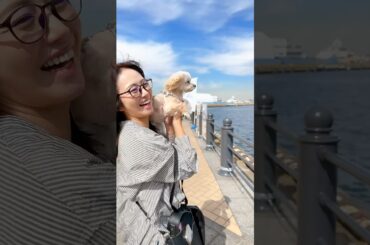 横浜さんぽ！