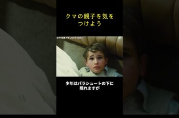 クマの親子を気をつけよう