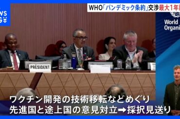 WHO総会「パンデミック条約」採択見送りも、交渉最大1年延長が決定｜TBS NEWS DIG