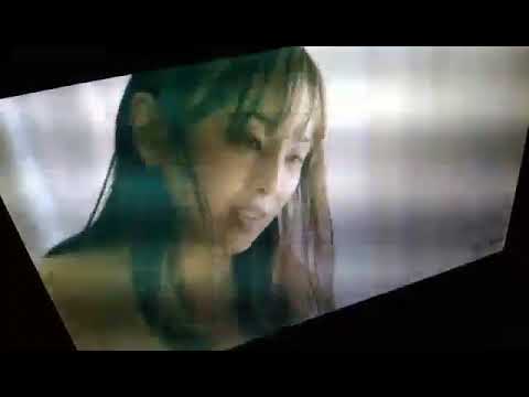 新川優愛×音月桂