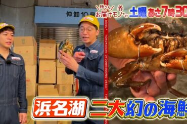 『所さんお届けモノです!』6/15(土) 幻の浜名湖グルメ！超濃厚のカニに所さん大絶賛!!【TBS】