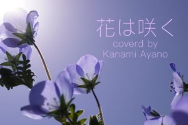 ［彩乃かなみ］花は咲く(cover)