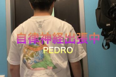 PEDRO-自律神経出張中　covered by Hrich
