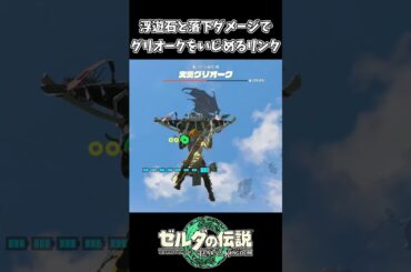 【ティアキン】浮遊石でグリオークをボコボコにするリンク【ゼルダの伝説 ティアーズ オブ ザ キングダム】