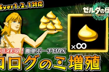 【最新ver1.2.1】ついにコログのミを増殖させて簡単にポーチをMAXにする方法が見つかりました。【ゼルダの伝説ティアーズオブザキングダム】【Totk】