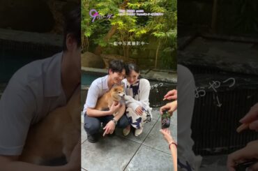 『9ボーダー』✂メイキング🎥わんこ × #松下洸平🐶 #ナインボーダー #大政絢