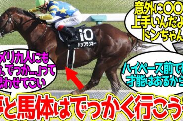 ドンフランキーBCへに対するみんなの反応！【競馬 の反応集】