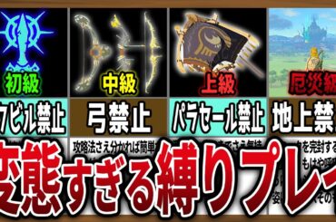 【初級～超厄災級】縛りプレイが鬼畜すぎた件について【ゼルダの伝説ティアーズオブザキングダム】