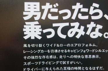 自動車カタログ 1996年 R33スカイライン2ドア＆4ドア ECR33