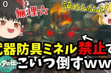 【ティアキン無双(笑)】武器防具＆ミネルまで禁止して偽ミネルをぶっ倒す☆#10【ゼルダの伝説ティアーズオブザキングダム】【ゆっくり実況】