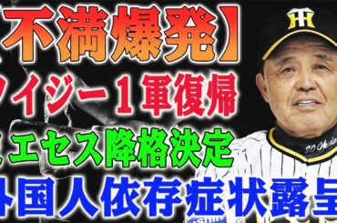 【不満爆発】ノイジー、1軍復帰!ミエセス、2軍降格の衝撃決定!阪神ファンが岡田監督を糾弾!「ノイジー起用に疑問」「ミエセスは育成契約レベル?」 【不満爆発】ノイジー、1軍復帰!ミエセス、2軍降格の衝撃決定!阪神ファンが岡田監督を糾弾!「ノイジー起用に疑問」「ミエセスは育成契約レベル?」