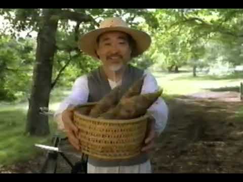 電気グルーヴ FILA 西島秀俊 深津絵里 ラムール 玉姫殿 CM 電気グルーヴ FILA 西島秀俊 深津絵里 ラムール 玉姫殿 CM